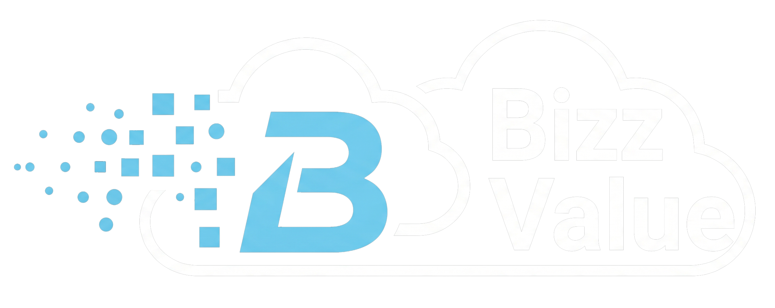 Bizz Value